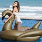 Giant PVC Inflatable Swan Floating Floating Bed